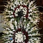 گل فروشی کاشان