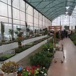 فروشگاه گل و گياه ولیعصر