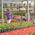 فروشگاه گل و گیاه منتخب