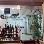 طلا و جواهر گلدن رز