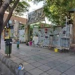 گل و گیاه رز