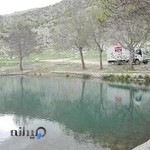 شرکت سراسری شیرین عسل