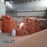 Khodayari trading co