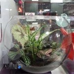 داروخانه دکتر قرنجیک