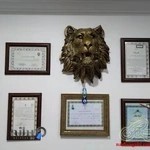 دفتر وکالت محمد طهرانی با سابقه 12 سال وکالت