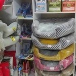 پت شاپ حامی لاهیجان