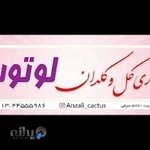 گالری گل و گلدان لوتوس