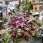 گلکده باران