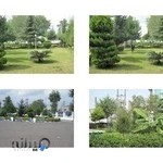 مرکز آموزش فنی حرفه ای بندر انزلی (کار آموزی)