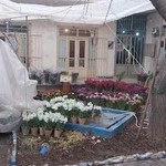 آموزشگاه علمی آزاد گلشن راز شهرکرد