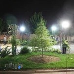 دانشگاه علامه دهخدا