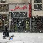 لاستیک لیقوانی