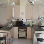 كلينيك دامپزشكي قشم دكتر رجايي