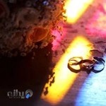 الابراتوار واتلیه نگین