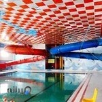 استخر دلفین