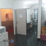 کلینیک دامپزشکی بهین