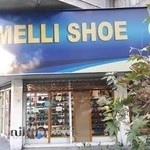 کفش ملی 516 گیشا