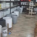 گل و گیاه گلسا