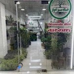 گلخانه خانه سبز اهواز