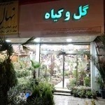 گل وگیاه آقاخانی