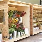 گل و گیاه ژیکال