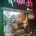 گل فروشی انبیا
