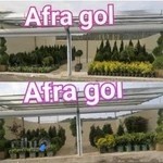 مجموعه گل و گیاه افراگل