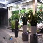 گل فروشی مادر