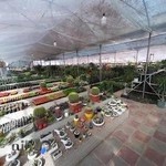 موسسه گل و گیاه سه گل