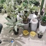 گل و گیاه فرجی