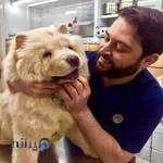 کلینیک دامپزشکی پارسا