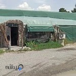 بازار گل و گیاه