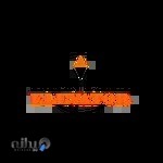 آسانسور ایمن پایا