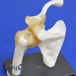 فیزیوتراپی آرزوی سلامت