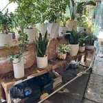 گلخانه باغ سبز