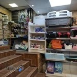 کلینیک دامپزشکی حامی حیوانات