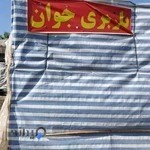 باربری تخلیه بار جوان