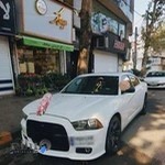 گلفروشی میخک