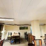 رستوران ایرانی وحید