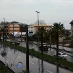 طراحی سایت انزلی وب