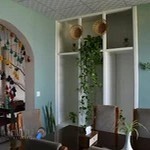 رستوران اشپل انزلی