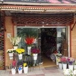 گلفروشی قصر گل سرخ