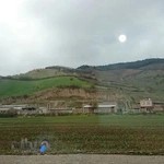 سیترا رستوران