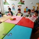 موسسه تیزهوشان دکتر شاکری