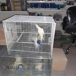 پت شاپ و پرنده سرای علی