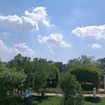 شرکت سرمایه گذاری و توسعه کیش