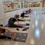 خانه یوگا لوتوسyoga center