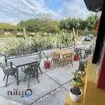 کافه کاکتوس