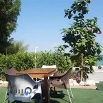 رستوران و کافه فراتی