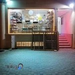 دهکده حیوانات کیش